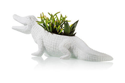 Pot de Fleur Crocodile