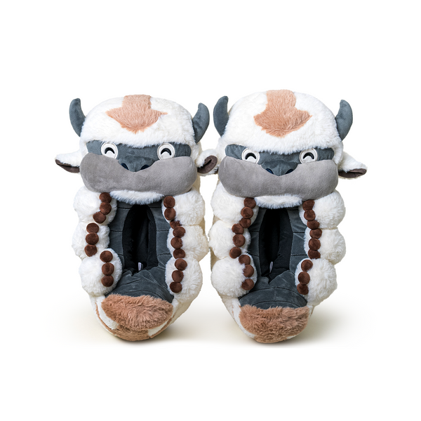 Appa Slippers