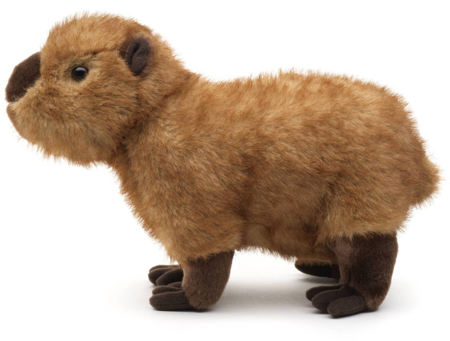 Peluche Capybara, debout