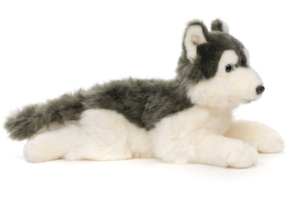 Peluche Husky gris, couché Uni Toys