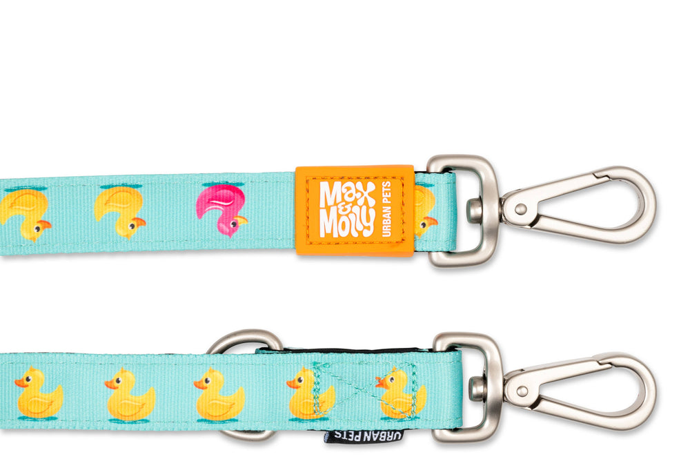 Multifunction Leash - Ducks