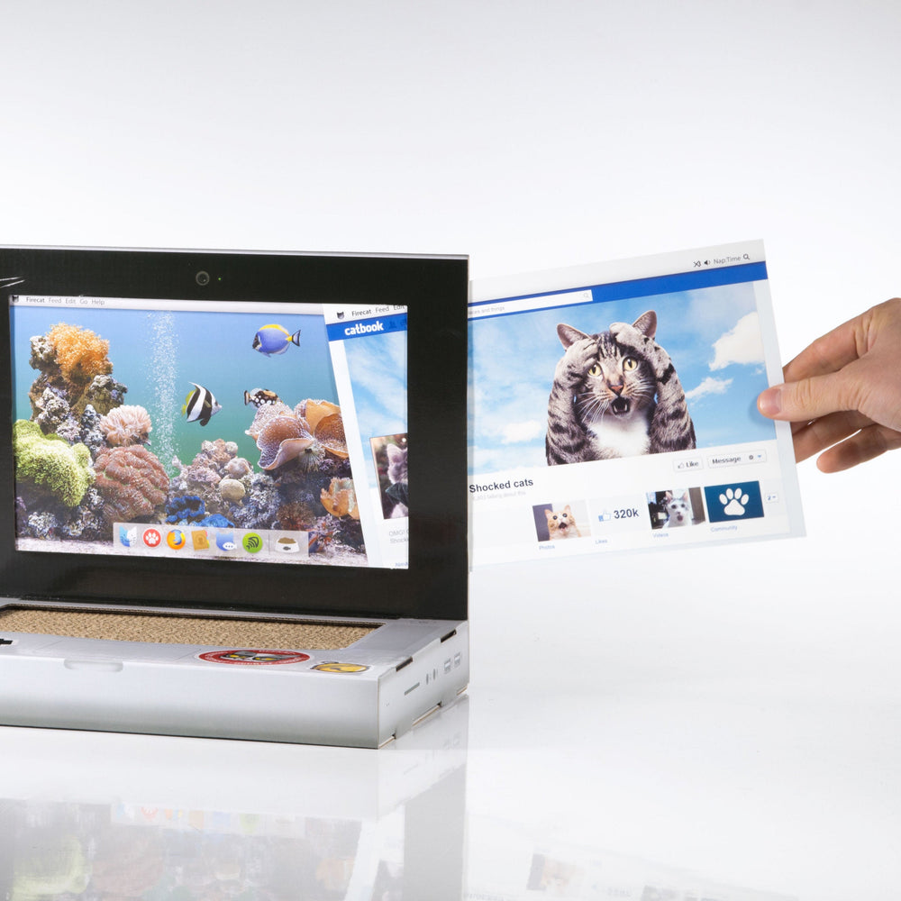 Cat Scratch Laptop