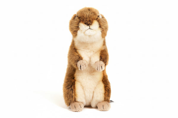 Peluche Ecureuil terrestre debout Uni Toys