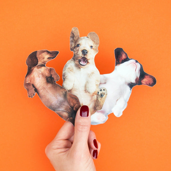 Dog Nail Files