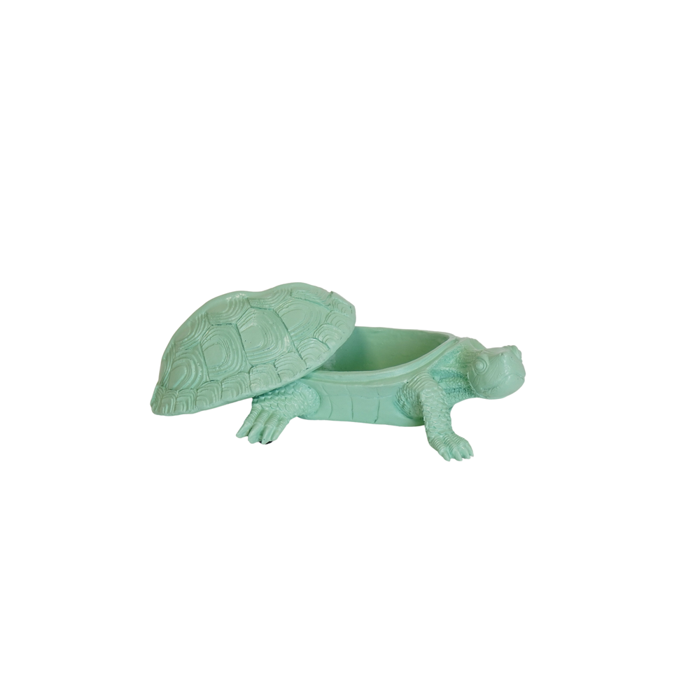 Boîte Tortue - Vert Menthe