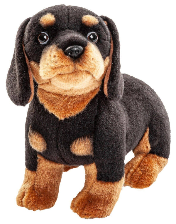 Peluche teckel sans laisse Uni Toys