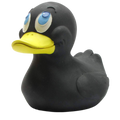 XXL Black Duck