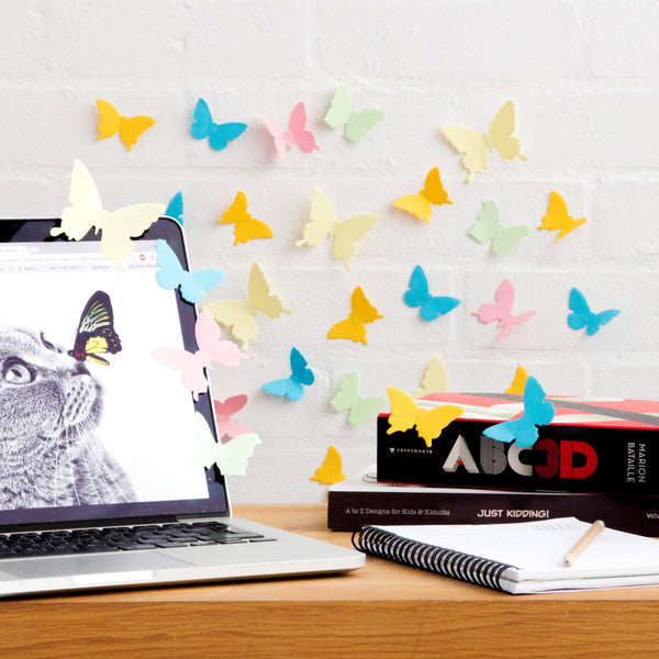 3D Sticky Note Specimen Box (50% off)