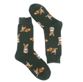 Kittensokken
