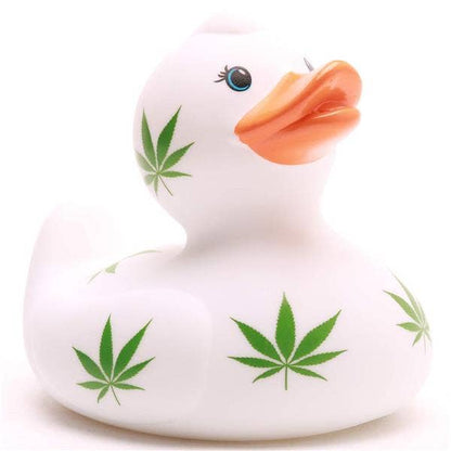 Hoja de cáñamo de pato