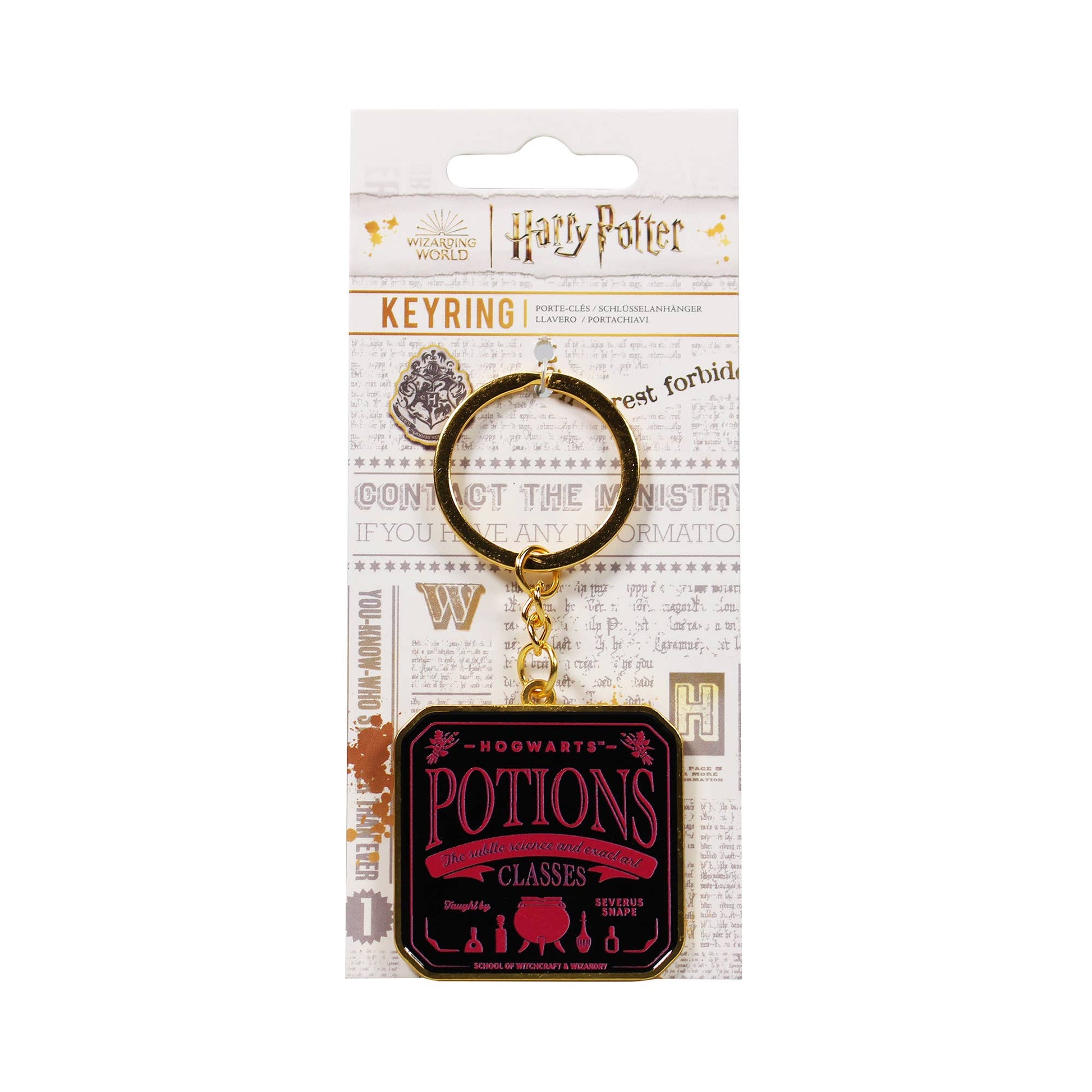 Porte-clés Harry Potter - avec carte d'en-tête Potions