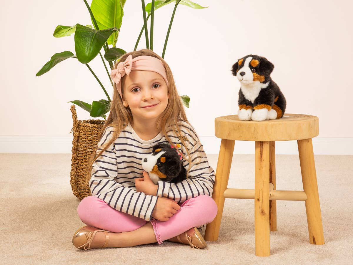 Zittende Berner Sennenhond Knuffel – 21 cm