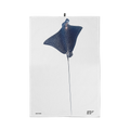 Strofinaccio Leopard Ray