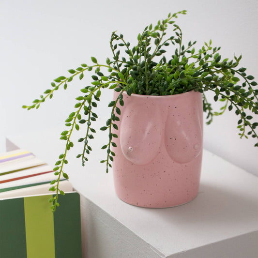 Jarrón de rosas con forma de tetas