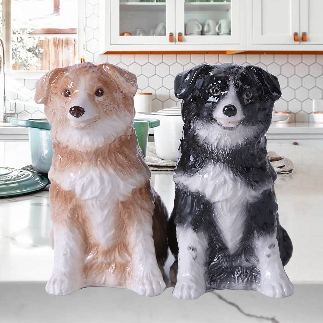 Juego de salero y pimentero de cerámica con diseño de Border Collies
