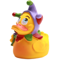 Pato Arlequim