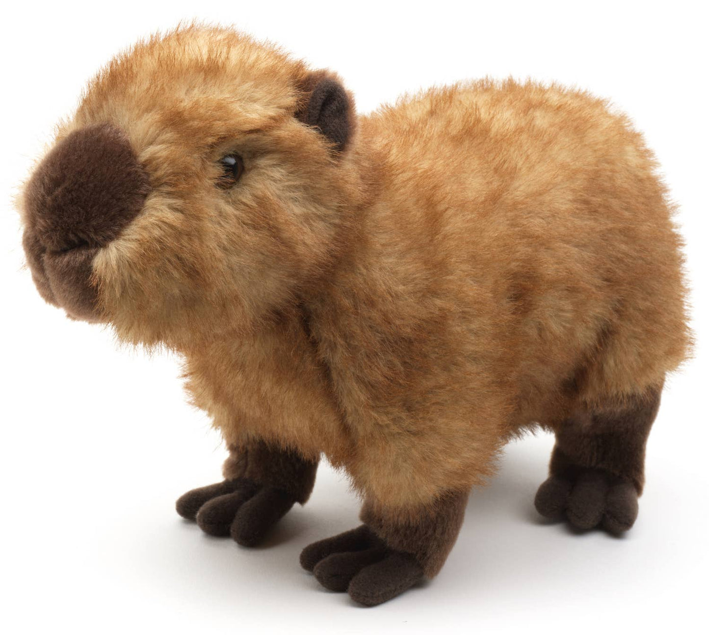 Peluche Capybara, debout