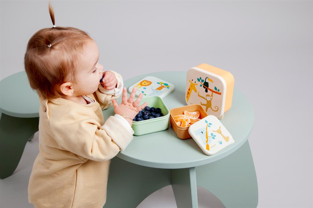 Jungle Animals Lunch Box