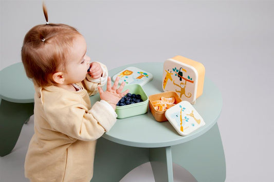 Lonchera con animales de la selva