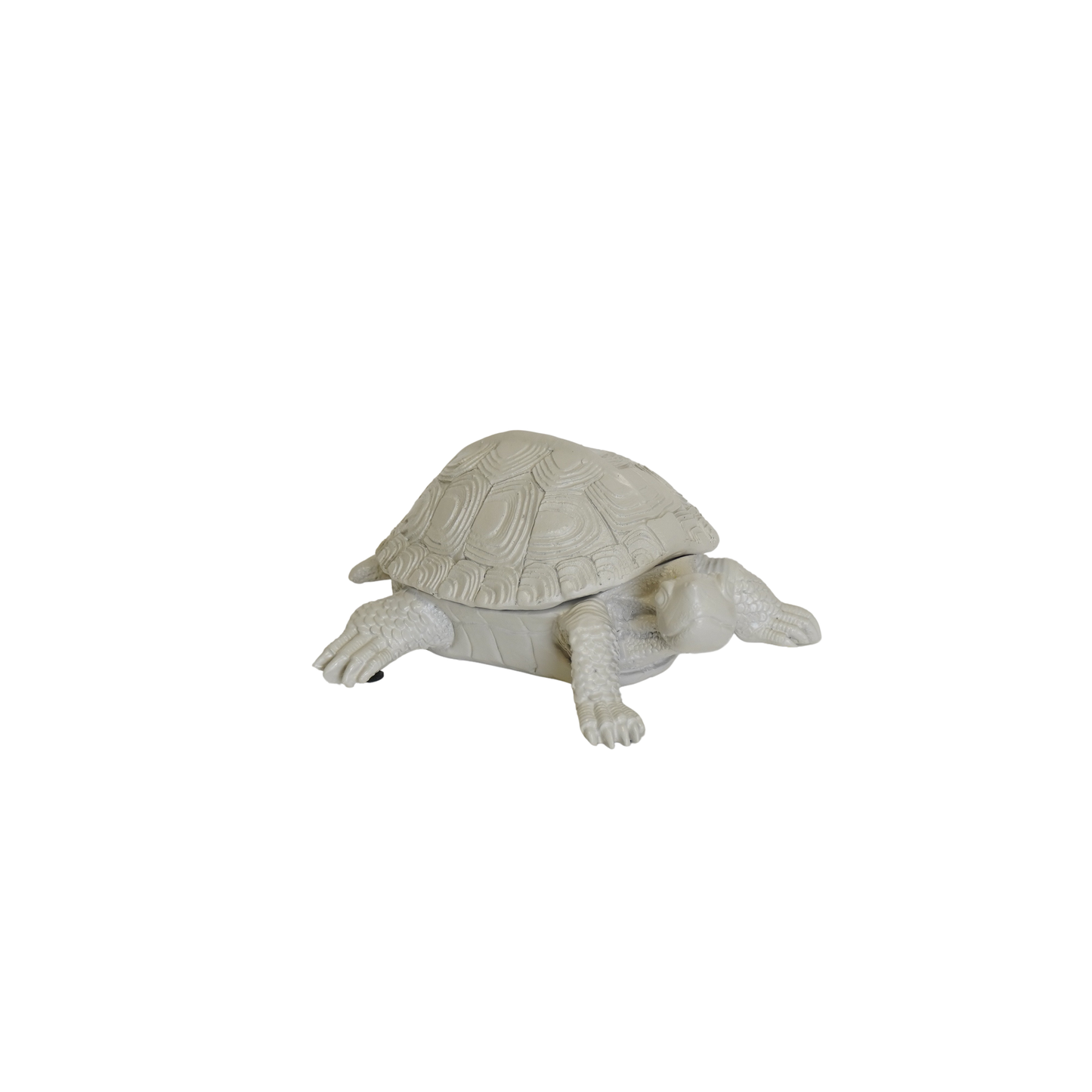 Boîte Tortue - Sable