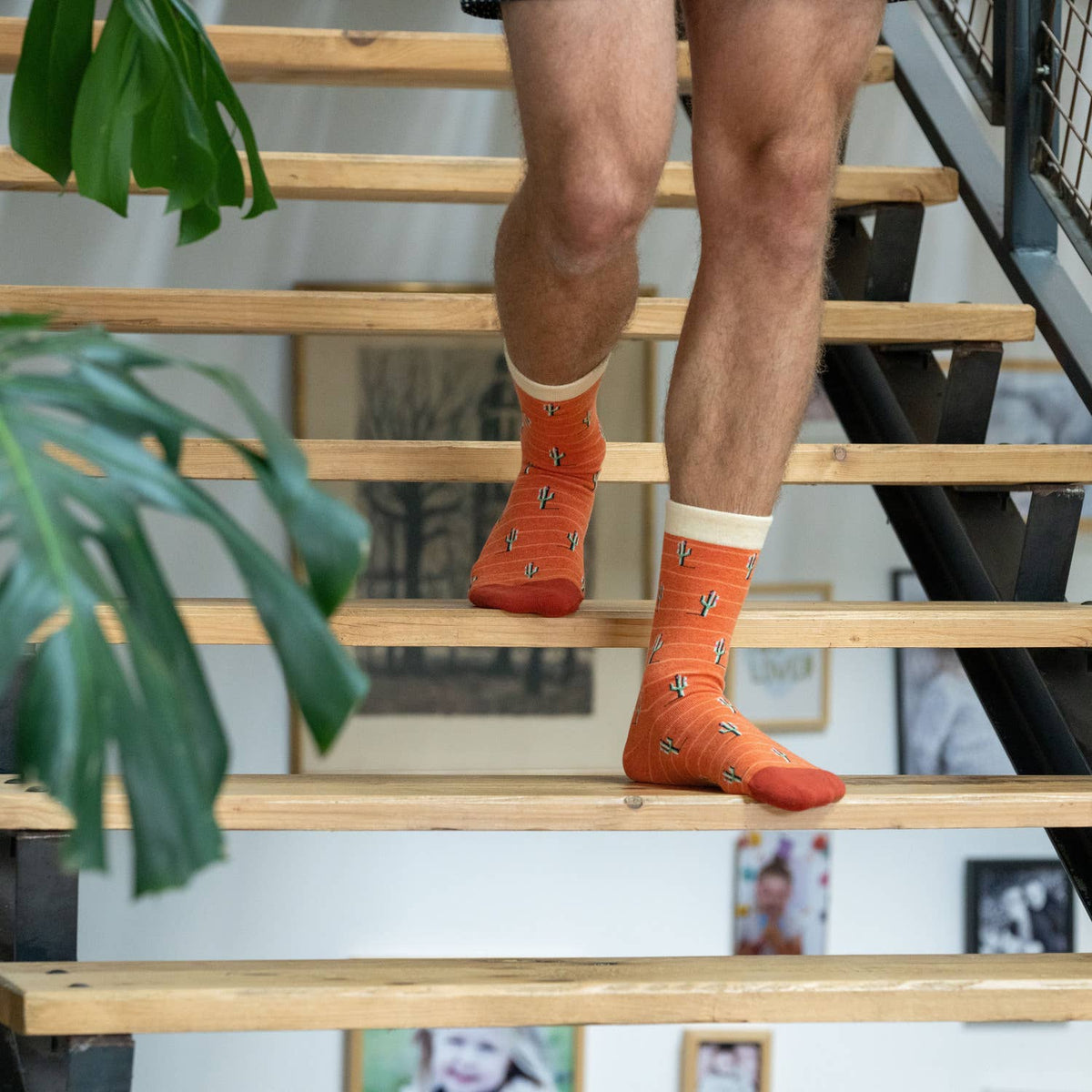 Chaussettes Cactus