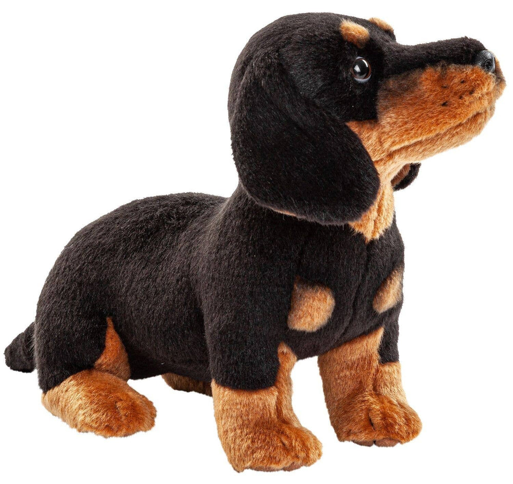 Peluche Teckel (sans Laisse) - 27 cm (Longueur)