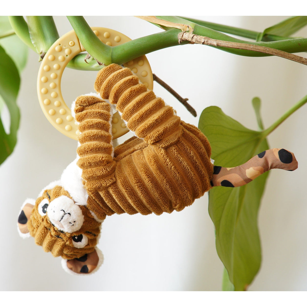 Anneau de dentition Spéculos le tigre