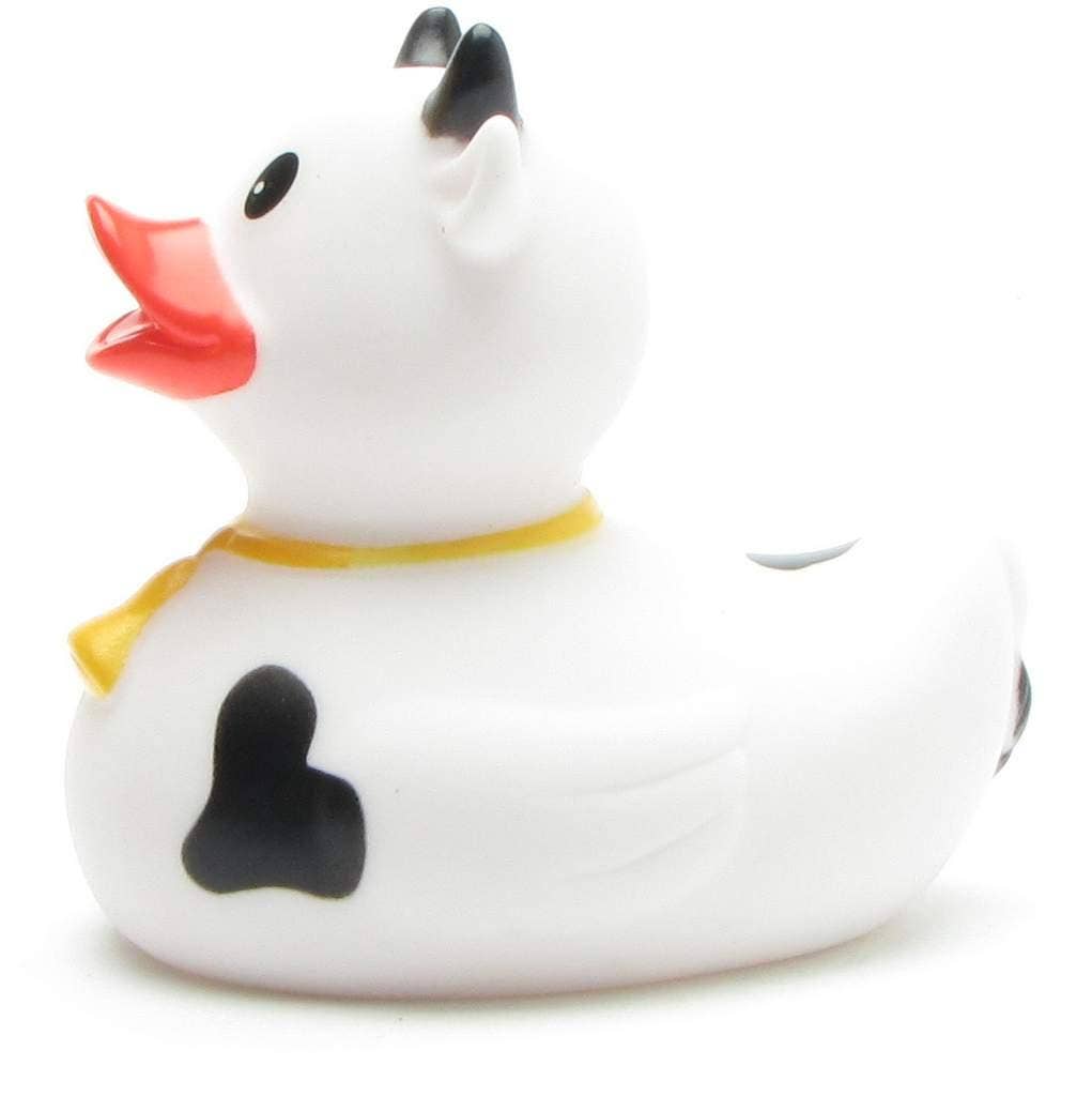 Canard Vache noire et blanche