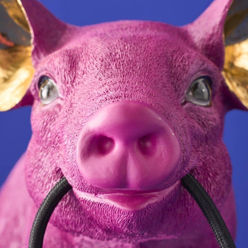 Lámpara de mesa Pink Pig