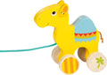 Animal de Arrastre - Dromedario