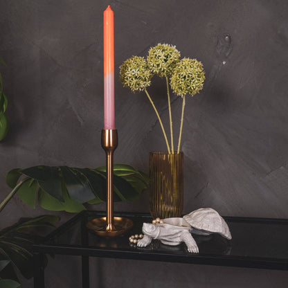 Boîte Tortue - Sable