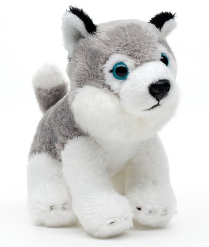 Peluche Husky Assis