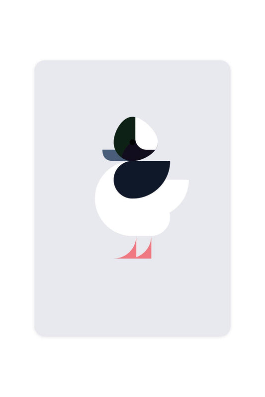 Buffalo Duck Postcard