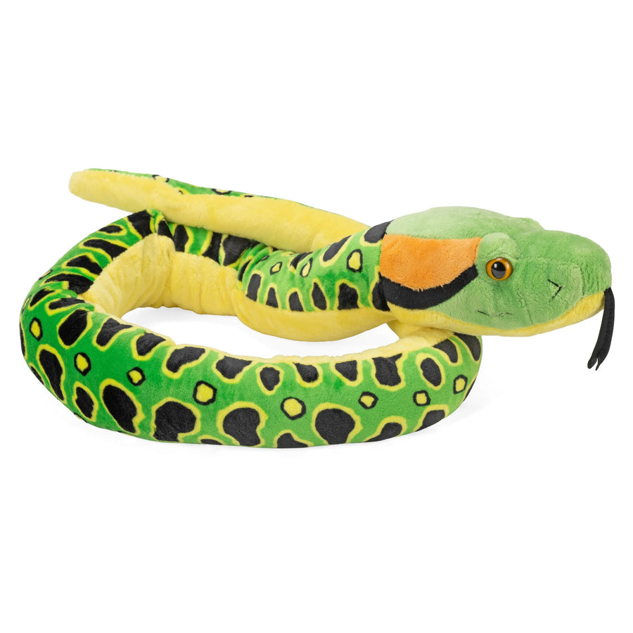 Anaconda