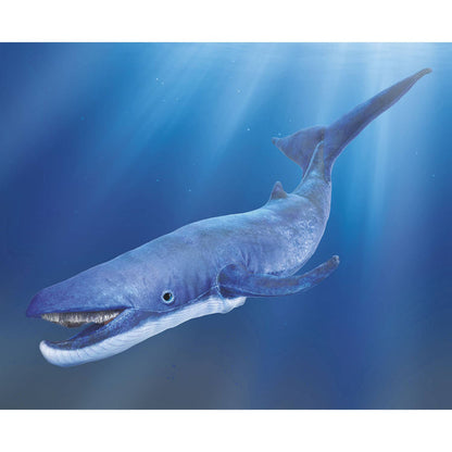 Marionnette à main Baleine bleue 3182/ Baleine bleue Folkmanis réaliste