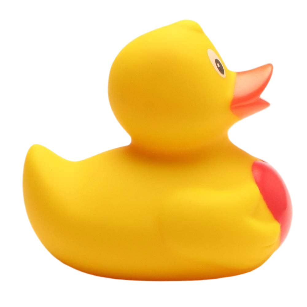 Canard avec Cœur