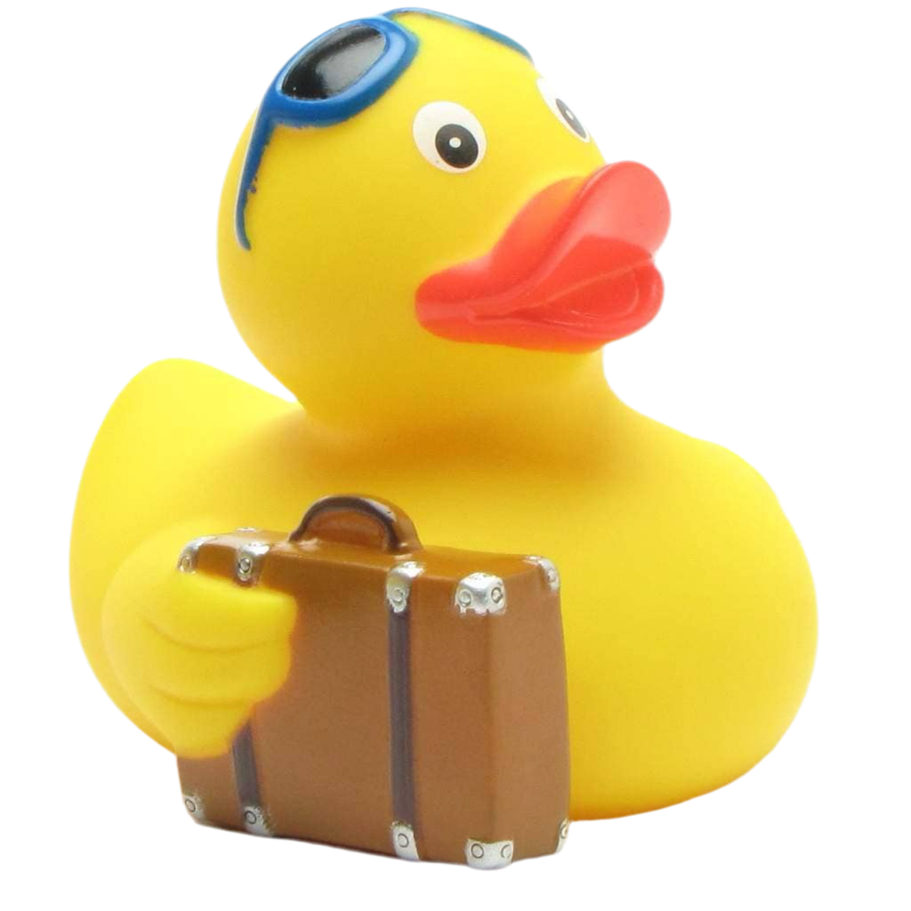 Traveling Duck