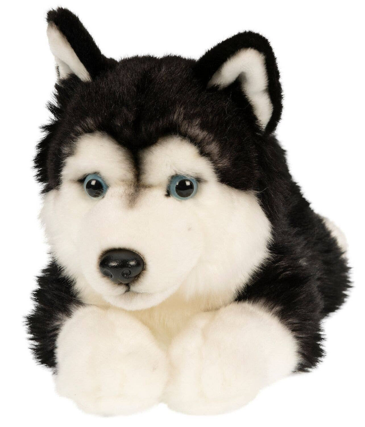 Peluche Husky noir, couché - 41 cm (longueur)