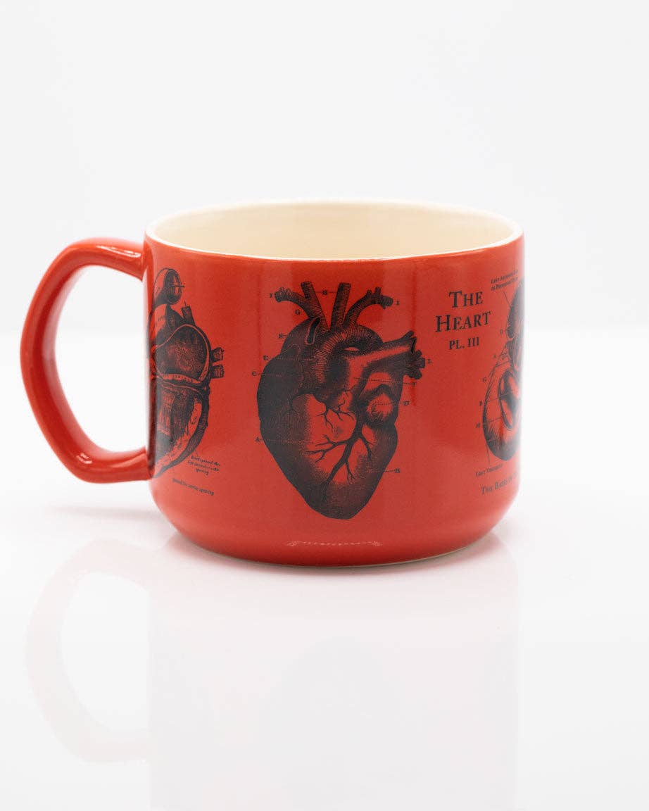 Mug Anatomie du Cœur – 443 ml