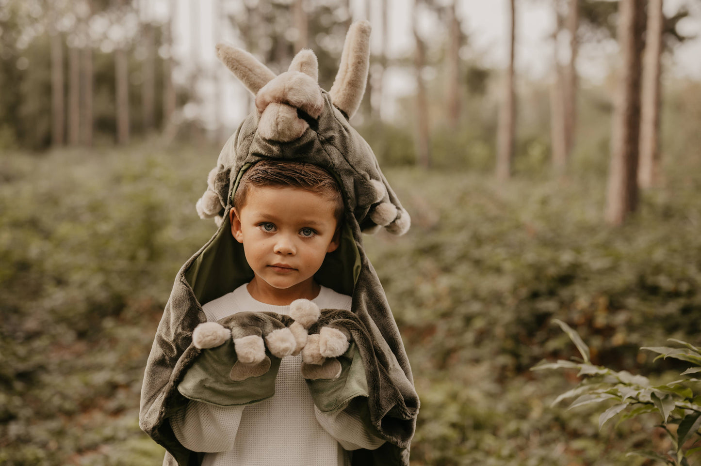 Déguisement Enfant Dino
