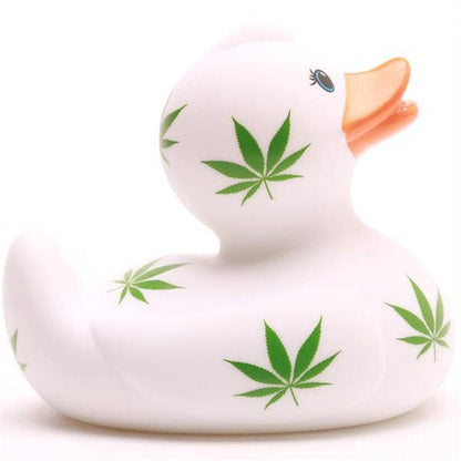 Hoja de cáñamo de pato