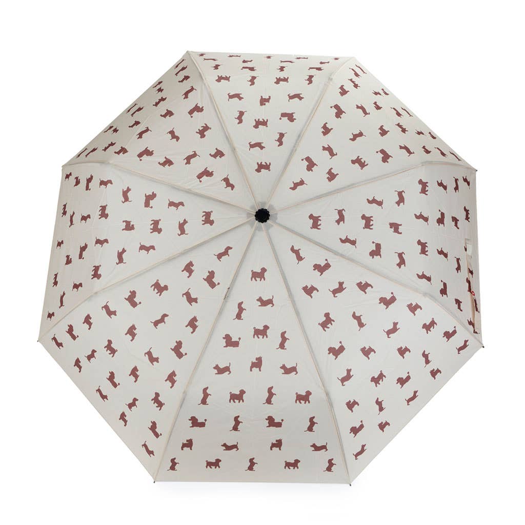 Parapluie Chien Puppymbrella