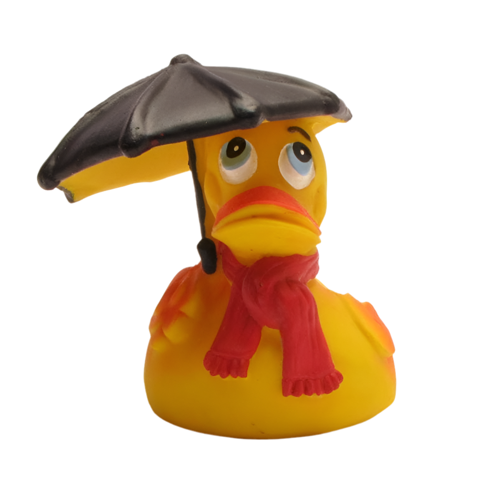 Pato en clima lluvioso