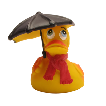 Canard Temps de Pluie