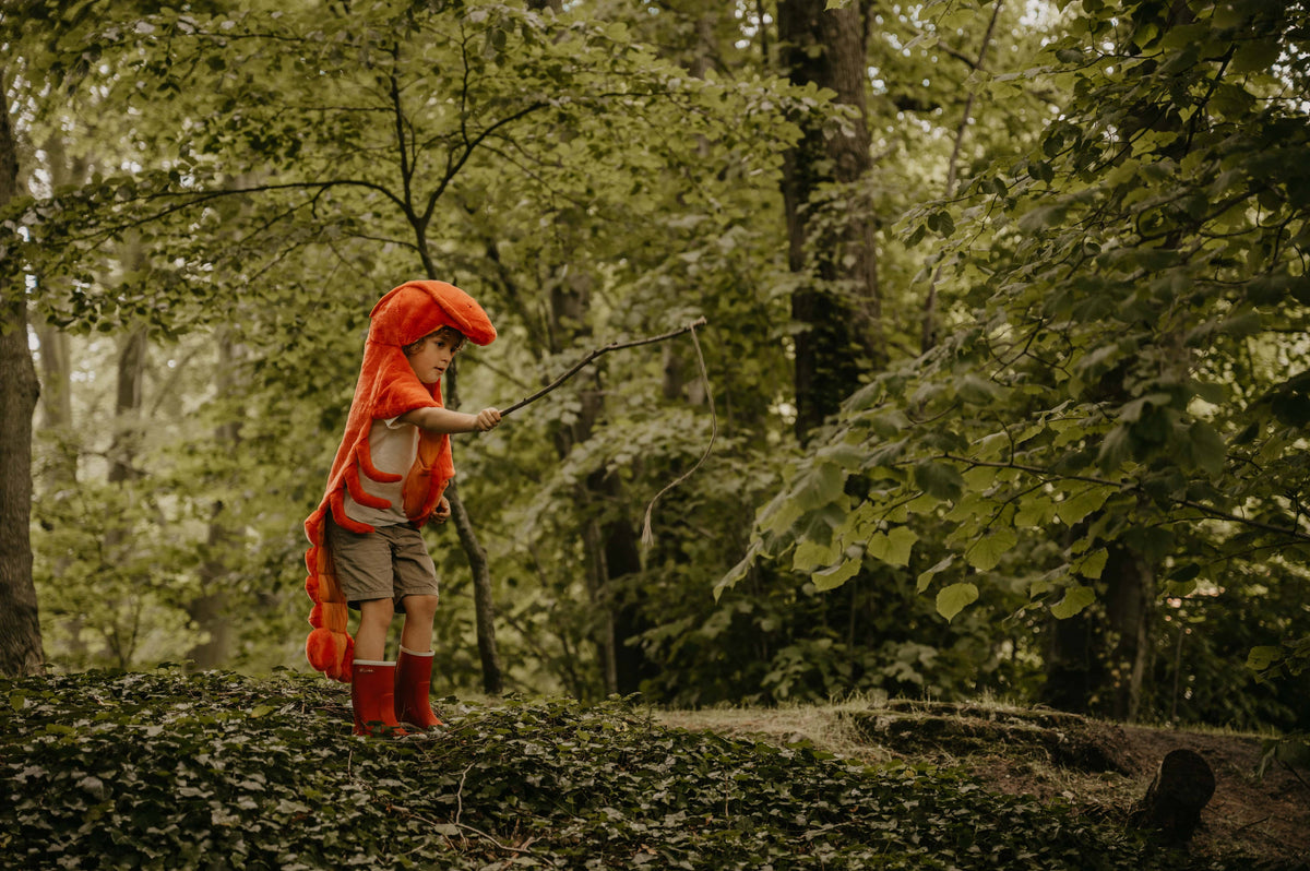 Déguisement Homard pour Enfants