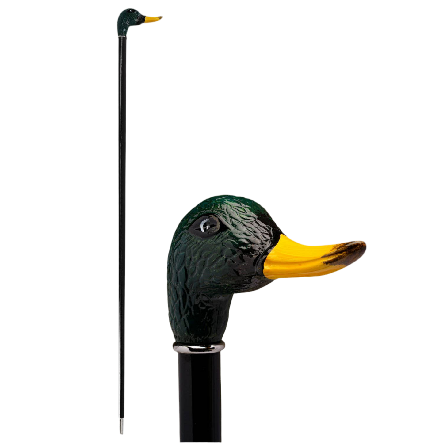 Canne Canard Colvert