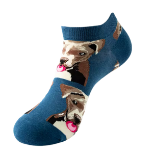 Pitbull korte sokken