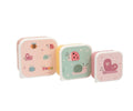 3 Insect Lunch Boxes