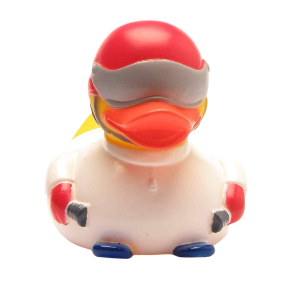 Pato esquiando