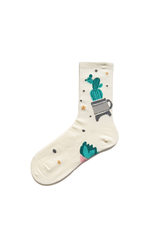 Chaussettes Succulentes